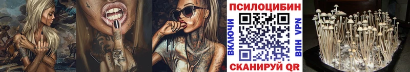 MEGA ссылка  Кимовск  Псилоцибиновые грибы мицелий 